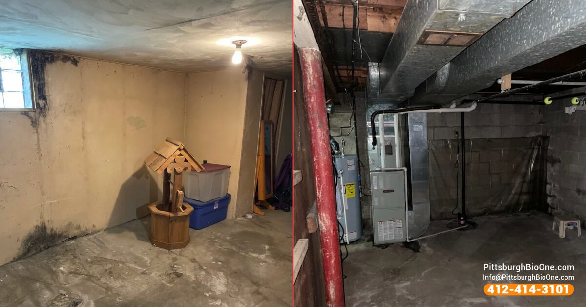 Water damage in the basement is a sign of mold growth.