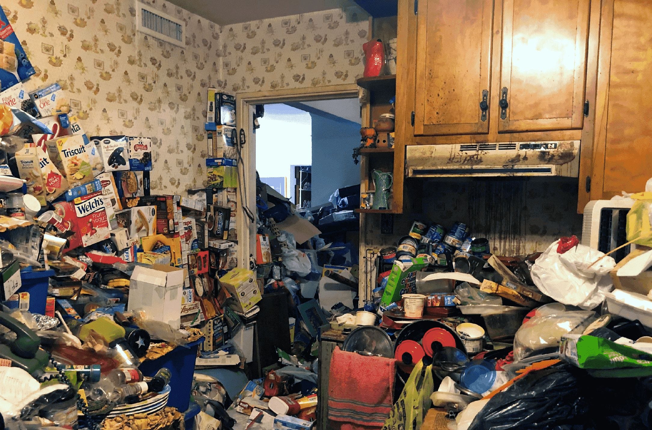 Example of Level 5 hoarding.